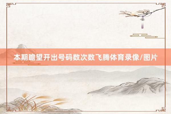 本期瞻望开出号码数次数飞腾体育录像/图片