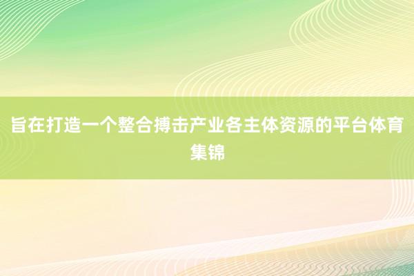 旨在打造一个整合搏击产业各主体资源的平台体育集锦