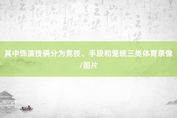 其中饰演技俩分为竞技、手段和笼统三类体育录像/图片