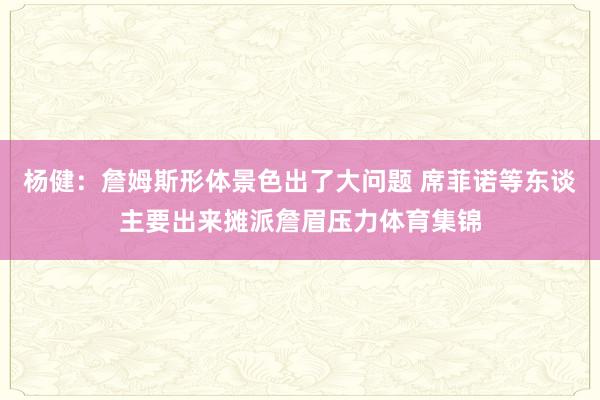 杨健：詹姆斯形体景色出了大问题 席菲诺等东谈主要出来摊派詹眉压力体育集锦