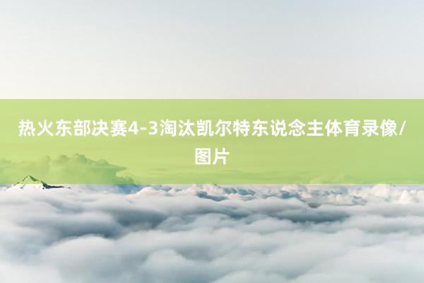 热火东部决赛4-3淘汰凯尔特东说念主体育录像/图片