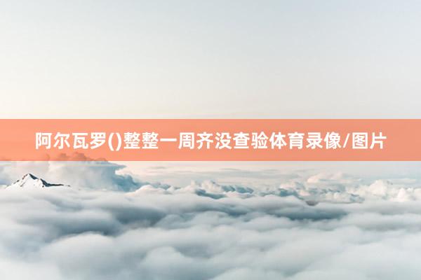 阿尔瓦罗()整整一周齐没查验体育录像/图片