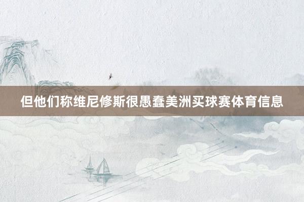 但他们称维尼修斯很愚蠢美洲买球赛体育信息