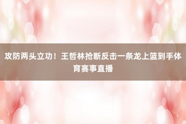 攻防两头立功！王哲林抢断反击一条龙上篮到手体育赛事直播