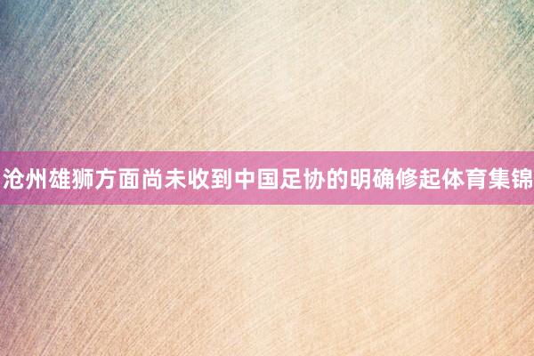 沧州雄狮方面尚未收到中国足协的明确修起体育集锦