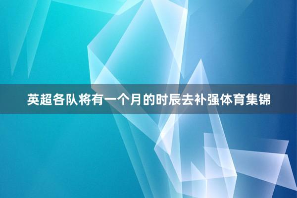 英超各队将有一个月的时辰去补强体育集锦