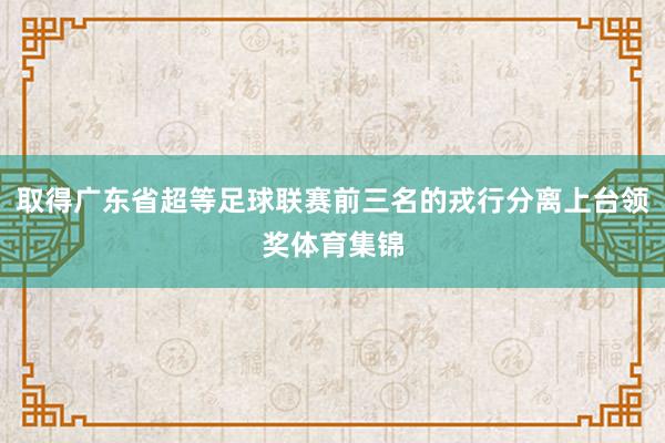 取得广东省超等足球联赛前三名的戎行分离上台领奖体育集锦