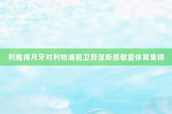 利雅得月牙对利物浦前卫努涅斯感敬爱体育集锦