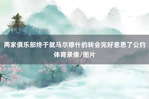 两家俱乐部终于就马尔穆什的转会完好意思了公约体育录像/图片