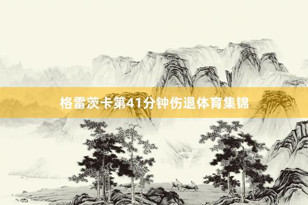 格雷茨卡第41分钟伤退体育集锦