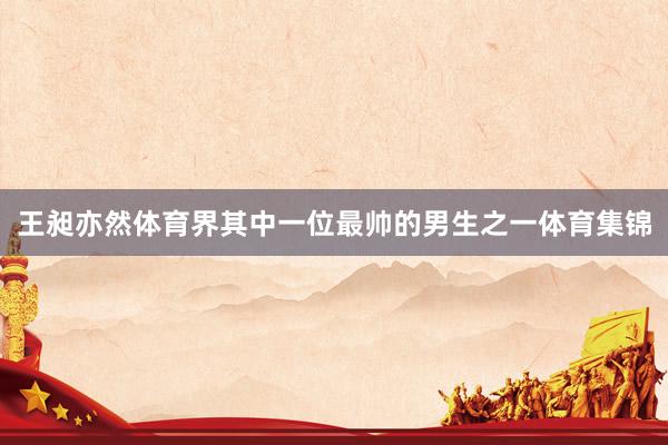 王昶亦然体育界其中一位最帅的男生之一体育集锦