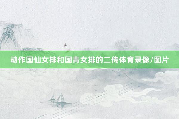 动作国仙女排和国青女排的二传体育录像/图片