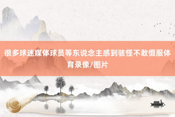 很多球迷媒体球员等东说念主感到骇怪不敢慑服体育录像/图片