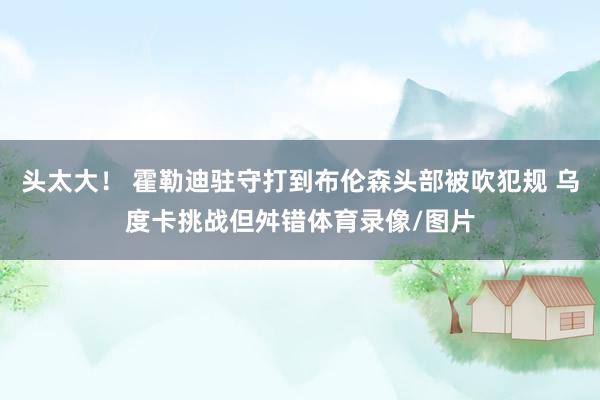 头太大！ 霍勒迪驻守打到布伦森头部被吹犯规 乌度卡挑战但舛错体育录像/图片