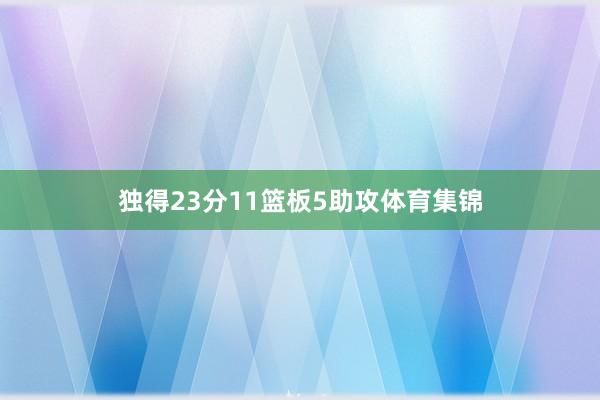 独得23分11篮板5助攻体育集锦