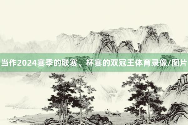 当作2024赛季的联赛、杯赛的双冠王体育录像/图片