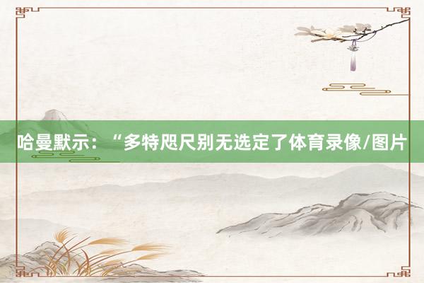 哈曼默示：“多特咫尺别无选定了体育录像/图片