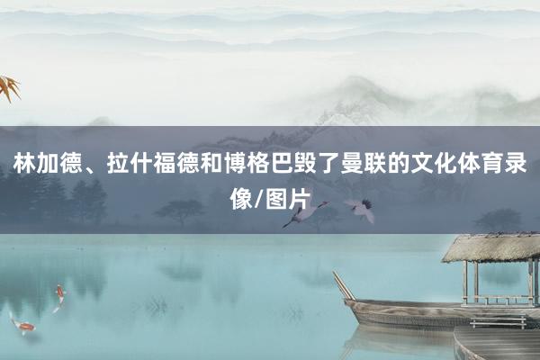 林加德、拉什福德和博格巴毁了曼联的文化体育录像/图片