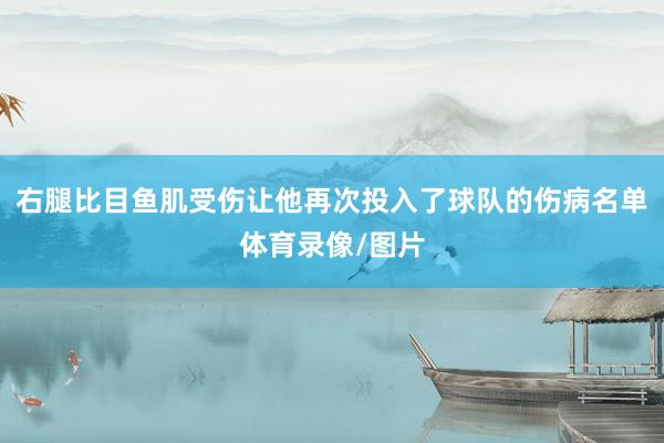 右腿比目鱼肌受伤让他再次投入了球队的伤病名单体育录像/图片