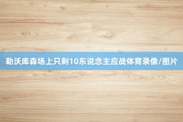 勒沃库森场上只剩10东说念主应战体育录像/图片