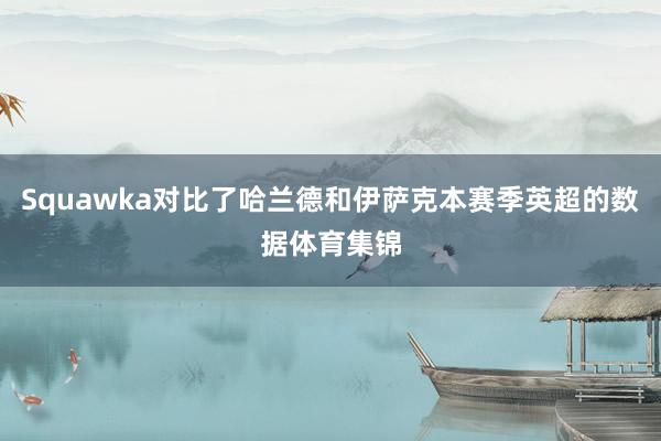 Squawka对比了哈兰德和伊萨克本赛季英超的数据体育集锦