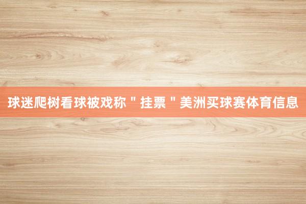 球迷爬树看球被戏称＂挂票＂美洲买球赛体育信息