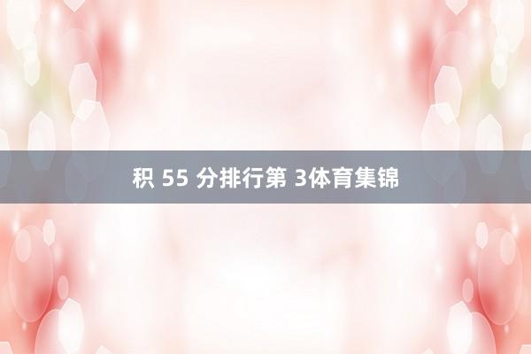 积 55 分排行第 3体育集锦