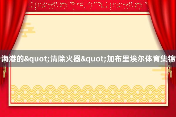 海港的"清除火器"加布里埃尔体育集锦